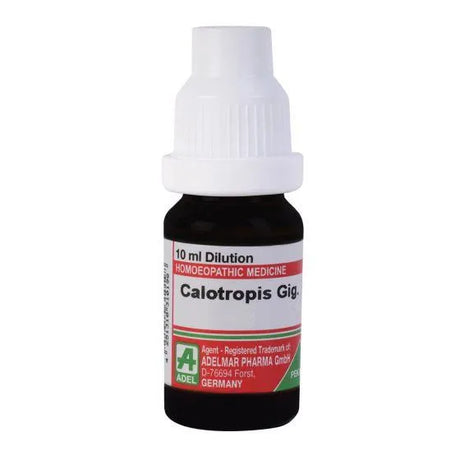 AdelCalotropisGiganteahomeopathydilution