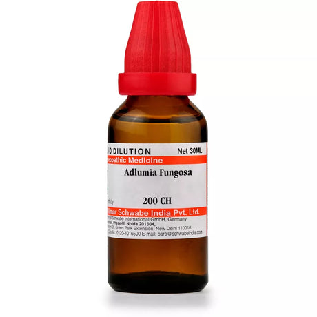 Adlumia Fungosa, for Hepatic dysfunction with elevated uric acid