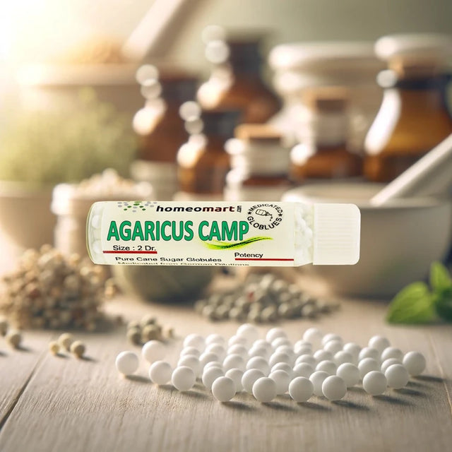 Agaricus Campestris homeopathy, Agaricus Campestris pills, Agaricus Campestris homeopathic medicine, Agaricus Campestris dilution, Agaricus Campestris globules, Agaricus Campestris remedy, Agaricus Campestris medicine online, buy Agaricus Campestris homeopathy, homeopathic medicine for food poisoning, homeopathy for gastroenteritis, acute food poisoning homeopathy, food poisoning homeopathic remedy, gastroenteritis homeopathic remedy