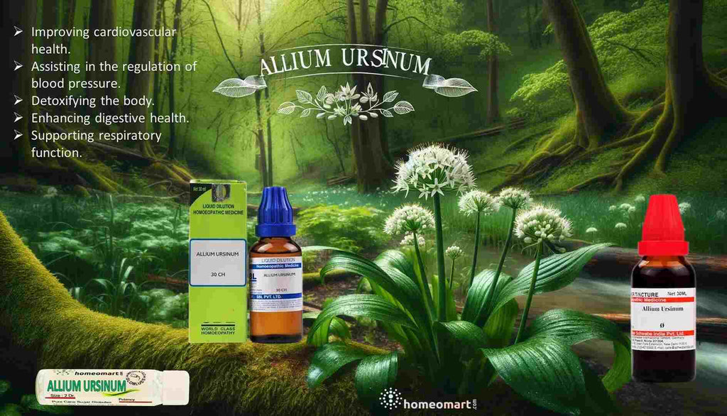 Allium Ursinum Homeopathy Pills 6C, 30C, 200C, 1M