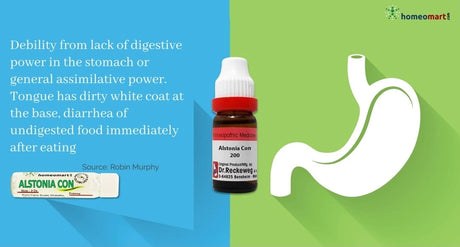 infographic showing Alstonia Constricta  benefits in digestive wellness