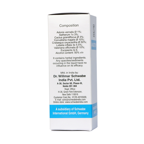 Schwabe Angioton homeopathy Hypotension drops for dizziness, blurred vision.