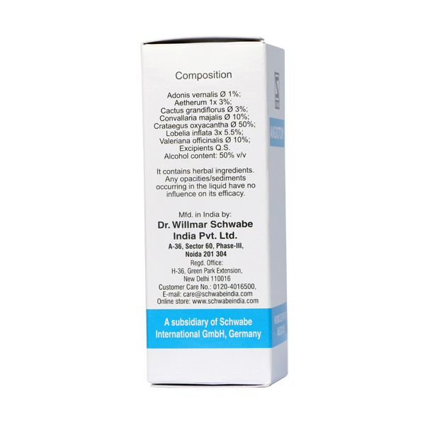 Schwabe Angioton homeopathy Hypotension drops for dizziness, blurred vision.