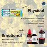 Arnica Montana homeopathy uses and benefits