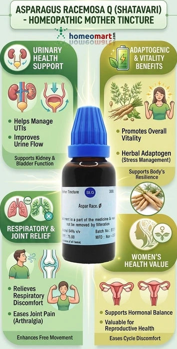 Shatavari homeopathy uses, urinary tract infection remedy, kidney support homeopathy, women hormonal balance, reproductive health tonic