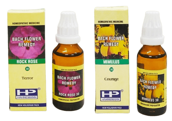 Rock Rose & Mimulus Bach Flower for panic attack relief