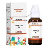 Relieve fear of illness, darkness & timidity with Bach Flower Mimulus Remedy. Gain confidence & face life’s challenges calmly.
