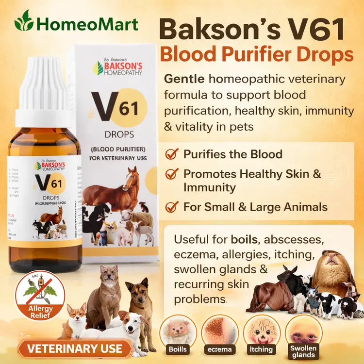 eczema treatment for pets homeopathy, pet immunity support drops, natural blood purifier for animals, veterinary skin care drops, homeopathic remedy for pet abscesses, dog skin infection homeopathic medicine, cat skin allergy homeopathy, pet detox drops