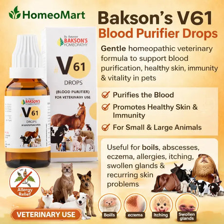 eczema treatment for pets homeopathy, pet immunity support drops, natural blood purifier for animals, veterinary skin care drops, homeopathic remedy for pet abscesses, dog skin infection homeopathic medicine, cat skin allergy homeopathy, pet detox drops
