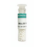 Bellis Perennis Homeopathy 3x Pills