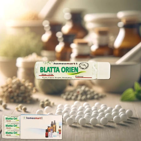 Blatta Orientalis Pills is a safe homeopathy remedy for respiratory conditions, including asthma and bronchitis