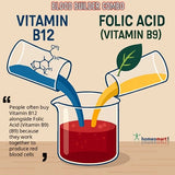 Illustration of vitamin B12 and folic acid being poured into a beaker with text explaining their relationship as blood builder supplement
