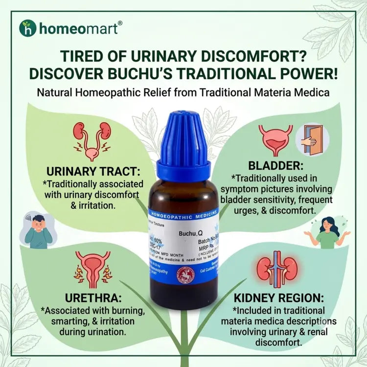 Buchu Mother Tincture for urinary discomfort, Buchu Mother Tincture for bladder discomfort, Buchu for burning urination, Buchu for frequent urination, Buchu for urinary urgency, Buchu for bladder irritation