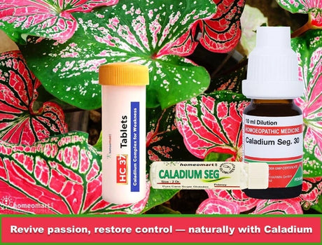Two bottles of Caladium SEG homeopathic medicine on a colorful leafy background with text 'Revive passion, restore control -- naturally with Caladium'.