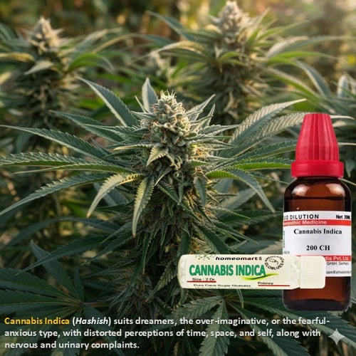 image of indian hemp with bottle and pill of homeopathy cannabis indica