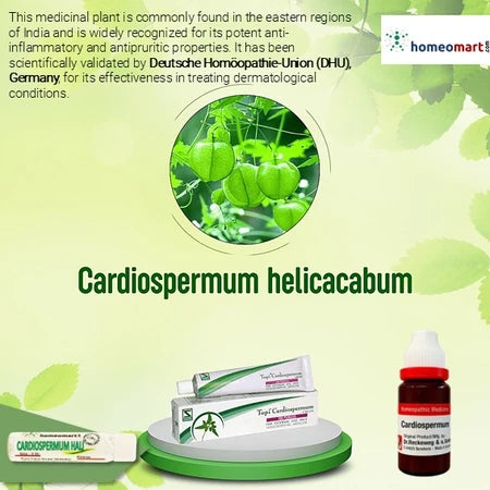 Get benefits of Cardiospermum in tincture, dilutions, pills and cream