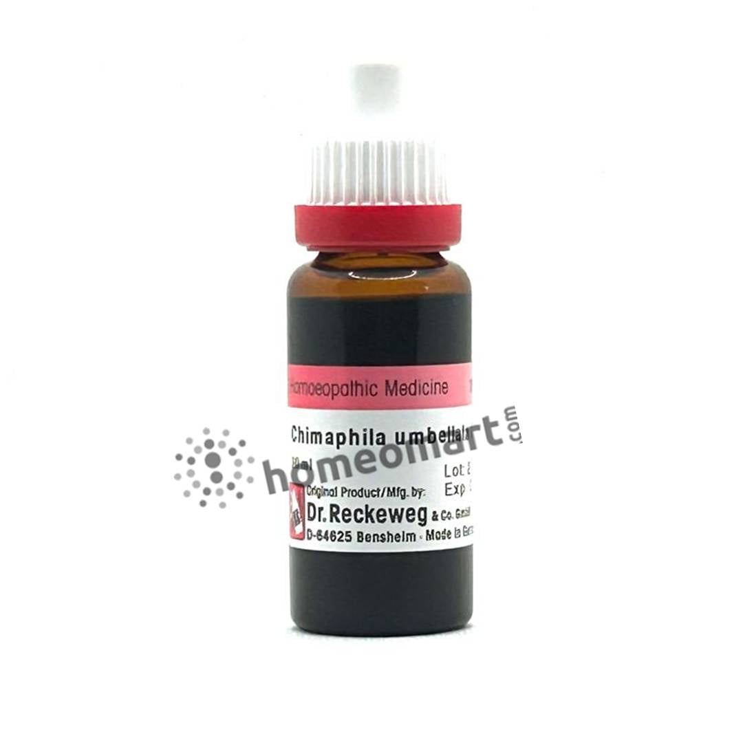 German Chimaphila Umbellata Mother Tincture Q