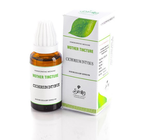 Cichorium Intybus Homeopathy Mother Tincture