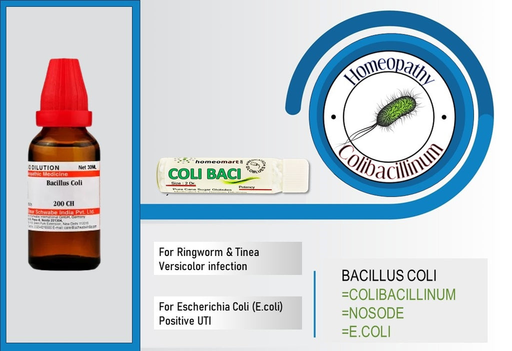 Bacillus coli (Colibacillinum) homeopathy uses benefits