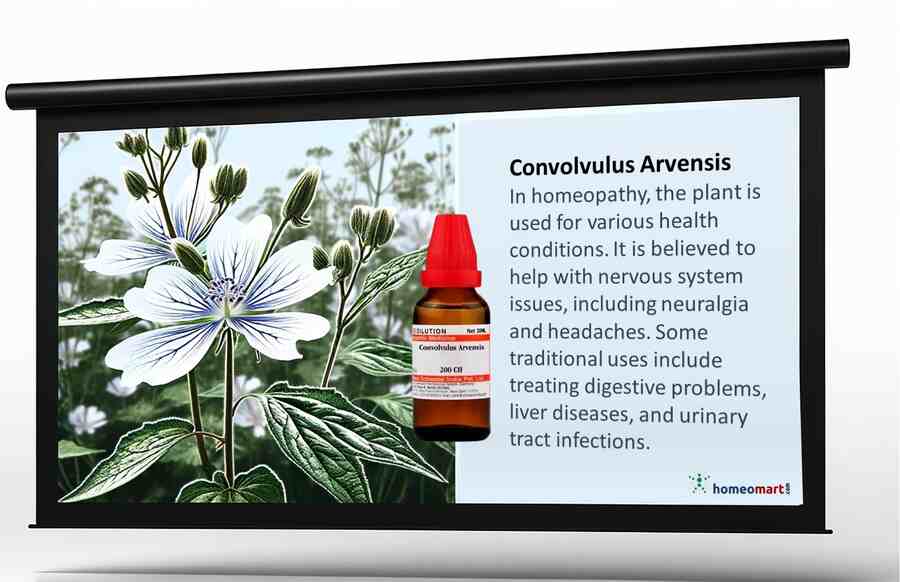 Convolvulus Arvensis Homeopathy Uses Benefits