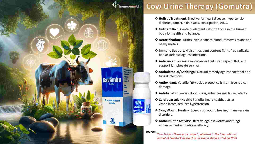 Cow Urine Therapy Gomutra health benefits