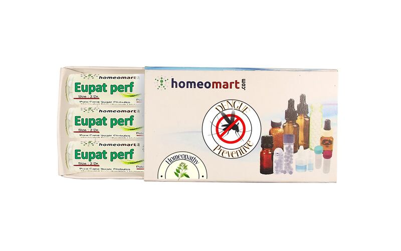 Dengue Preventive Homeopathy Medicine Eupatorium Perfolatium 