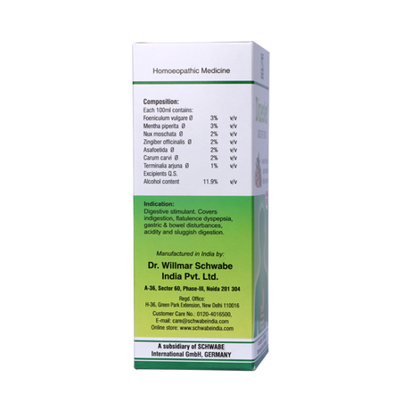 Schwabe Dizester Digestive Tonic, acidity, dyspepsia, flatulence