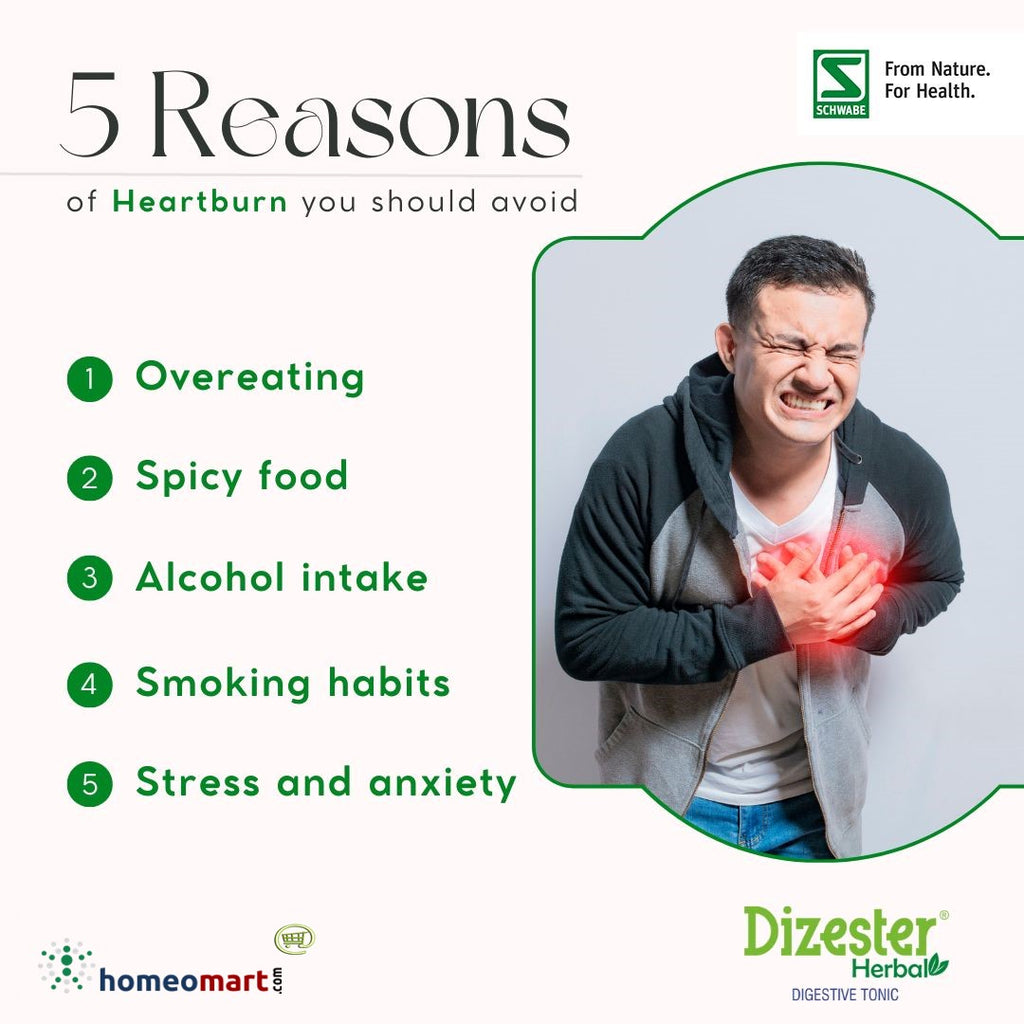 heartburn reasons and treatment in homeopathy dizester herbal tonic