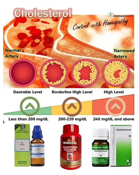 This Doctor-recommended Homeopathy remedies kit combines the power of Allium Sativum, Crataegus, and Gautteria Gaumeri to help reduce bad cholesterol (LDL), triglycerides, and support overall heart wellness