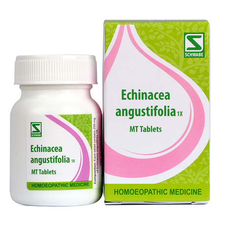 Schwabe Echinacea Angustifolia 1X Immunity Tablets, fights infections