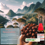 Eugenia carvophyllata  (clove) product with mountain and lake background