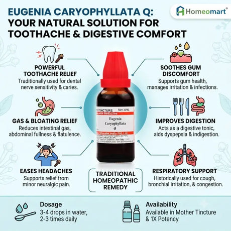 homeopathy for dyspepsia and flatulence, natural digestive tonic homeopathy, homeopathic medicine for bronchial irritation, homeopathy for neuralgic pain, homeopathic remedy for oral pain, clove homeopathic drops for digestion, Toothache, Dental Pain, Gum Pain, Bleeding Gums, Dental Caries, Oral Care, Gum Health, Indigestion, Dyspepsia, Flatulence, Bloating, Digestive Health,
