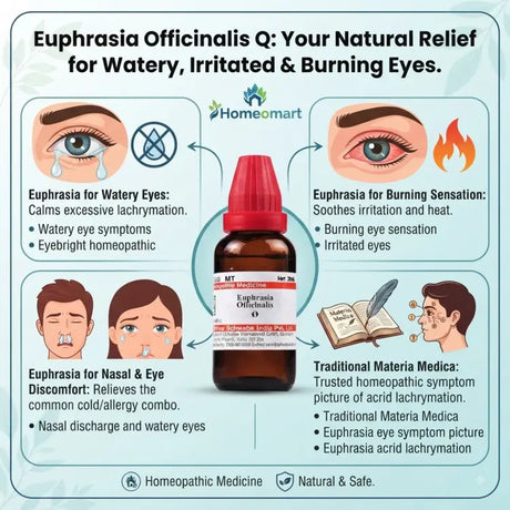 Euphrasia Officinalis, Euphrasia Q, Eyebright, Mother Tincture, Homeopathy, Homeopathic Medicine, Single Remedy, Eye Wellness, Nasal Wellness, Eye Symptoms, Watery Eyes, Materia Medica, Homeopathic Q, Liquid Homeopathy