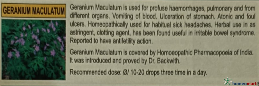 Geranium maculatum 