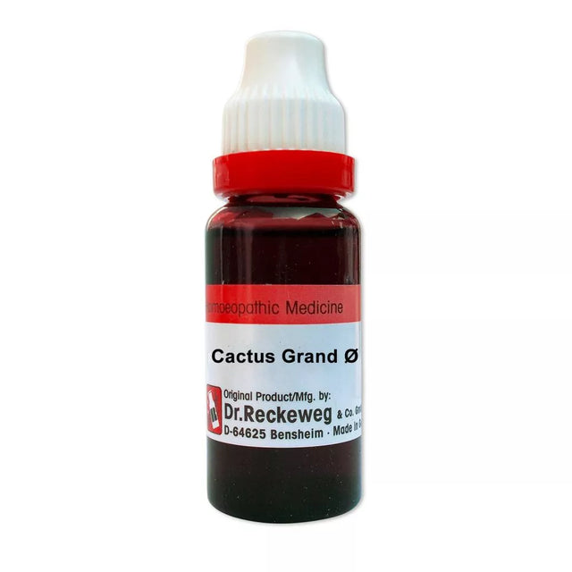 Reckeweg Cactus Grandiflorus tincture 20ml 