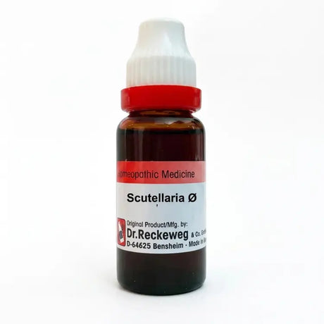 German Scutellaria Mother Tincture, Scutellaria Lateriflora Q, Scutellaria Q, Skullcap homeopathy, insomnia homeopathic medicine, homeopathy for anxiety, sleep disorder remedy, migraine homeopathy medicine, nervous exhaustion remedy, German homeopathic medicine, Schwabe Scutellaria, Adel Scutellaria, natural sleep support, homeopathy for stress, insomnia drops homeopathy, nervous headache remedy, homeopathic sedative, sleep support homeopathy, Scutellaria buy online, German mother tincture