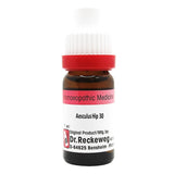 Aesculus Hippocastanum dilution, Aesculus Hippocastanum homeopathic medicine, Aesculus Hippocastanum homeopathy, German Aesculus Hippocastanum, Aesculus Hippocastanum 30C, Aesculus Hippocastanum 200C, Aesculus Hippocastanum 6C, Aesculus Hippocastanum 1M, Horse Chestnut homeopathic remedy, Aesculus homeopathic dilution