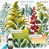 best medication for kidney stones