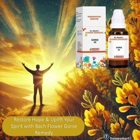 Restore Hope & Uplift Your Spirit with Bach Flower Gorse Remedy