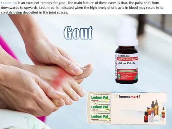 Advertisement for Ledum Pal homeopathic remedy for gout, showing a bottle and packaging with a person holding a painful foot.