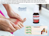 Advertisement for Ledum Pal homeopathic remedy for gout, showing a bottle and packaging with a person holding a painful foot.