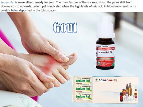 Advertisement for Ledum Pal homeopathic remedy for gout, showing a bottle and packaging with a person holding a painful foot.