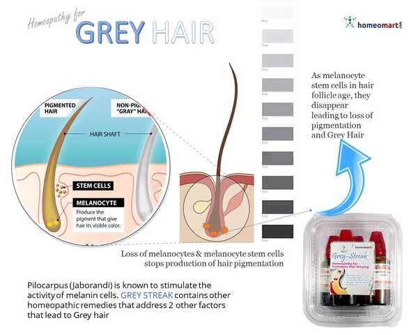 grey hair coverage by age chart