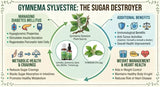 homeopathic medicine for blood sugar support, homeopathic remedy for sugar cravings, Gymnema Sylvestre for diabetes support, Gurmar for glucose regulation, natural remedy for sweet cravings, Gymnema for pancreatic support, homeopathy for metabolic wellness, homeopathic medicine for insulin support,
