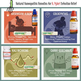 An educational infographic titled "GENTLE HOMEOPATHIC DIGESTIVE RELIEF (AGES 25–60)" presented in a clean, four-quadrant grid. Each quadrant uses distinct colors and icons to represent specific gastric conditions and their corresponding remedies