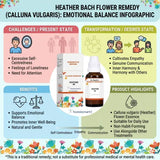 heather bach flower, calluna vulgaris remedy, bach flower heather uses, emotional balance remedy, self centred personality treatment, bach flower for loneliness, natural emotional healing