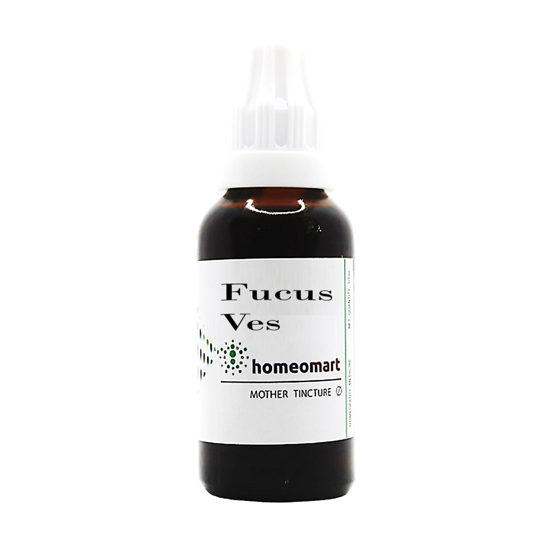 top Fucus Vesiculosus Homeopathy Mother Tincture Q in 30ml bottle