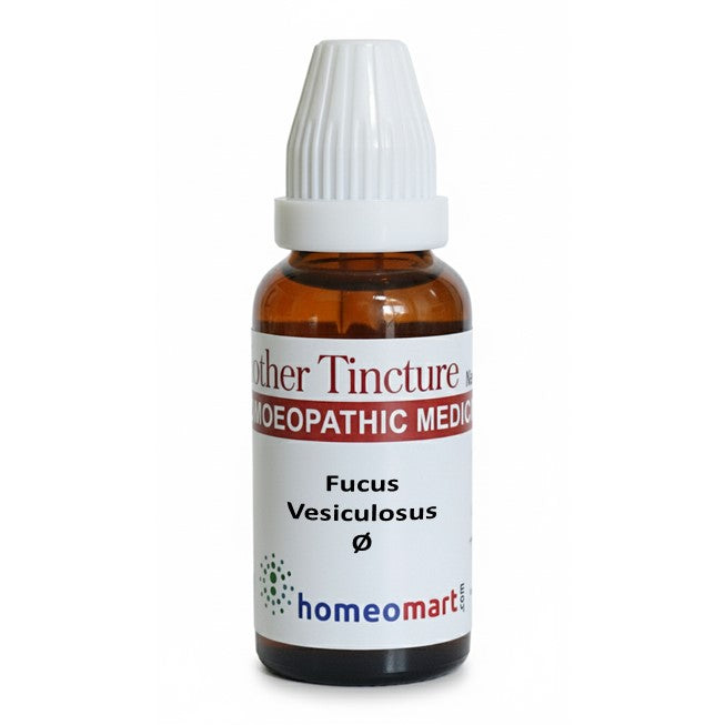 fucus vesiculosus mother tincture q, fucus vesiculosus q, bladder wrack homeopathy, fucus homeopathic medicine, homeopathic weight loss remedy, thyroid support homeopathy, homeopathic medicine for obesity