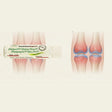 Homeopathy pills with knee pain illustration on a beige background