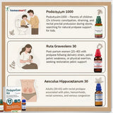 Homeopathy rectal Prolapse Infographic with illustrations and text on a light brown background